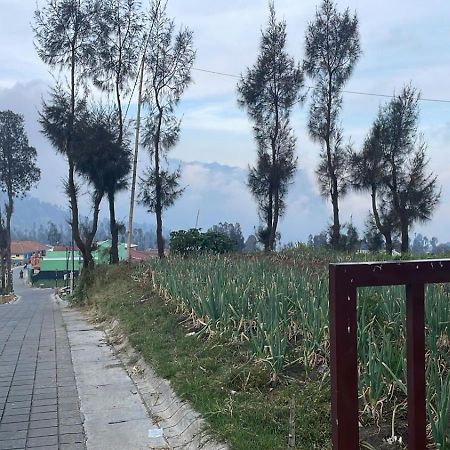 Bromo Semesta Guesthouse Probolinggo Esterno foto